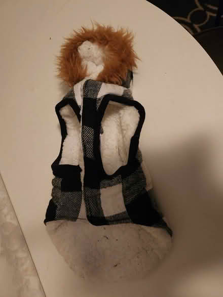 Photo of free Extra small pet jacket (Kanata (Katimavik)) #2