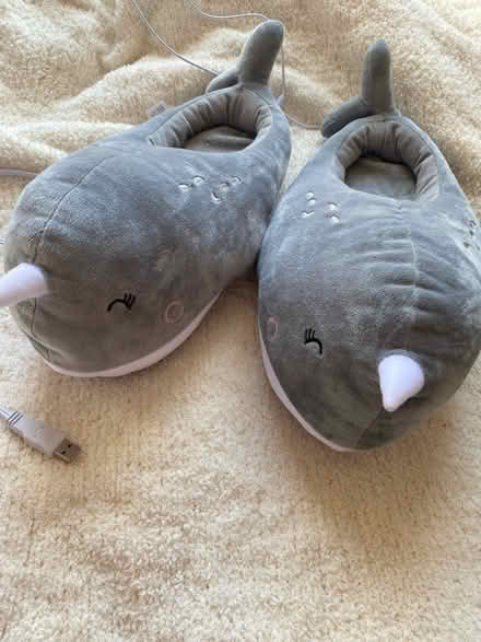 Photo of free Heated slippers (Hayward) #1