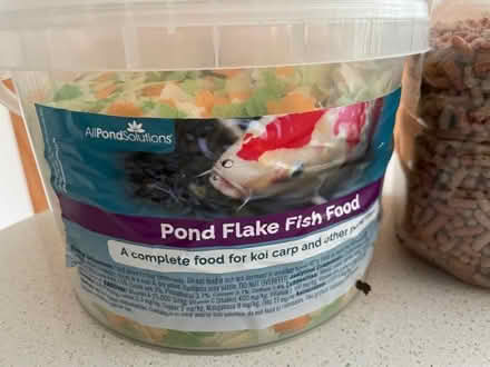 Photo of free Fish food (Loughton MK5) #1