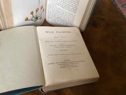 Photo of free Antique Wild Flower Books (Waltham Abbey EN9) #4