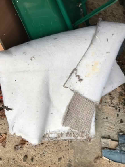 Photo of free Aged carpet (Brooke NR15) #2