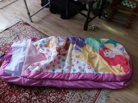 Photo of free Disney Princess blow up bed (Gidea Park RM2) #1