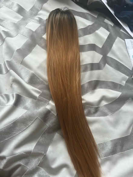 Photo of free Synthetic ponytail (SW2) #2