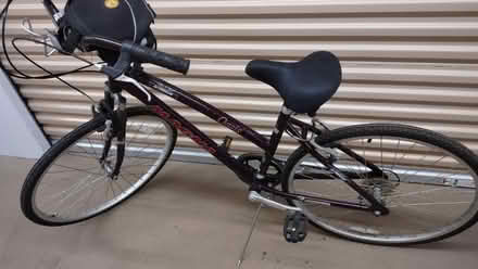 Photo of free Women's Bicycle (Saddle Brook) #1