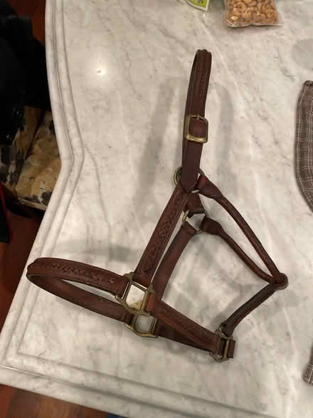 Photo of free Horse halter (In the town of Ridgefield, Ct) #1