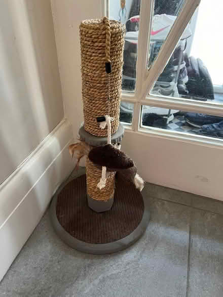 Photo of free Cat scratcher FY2 (Bispham FY2) #1