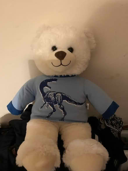 Photo of free White fluffy bear from Build a bear factory. (Garnethill G3) #1