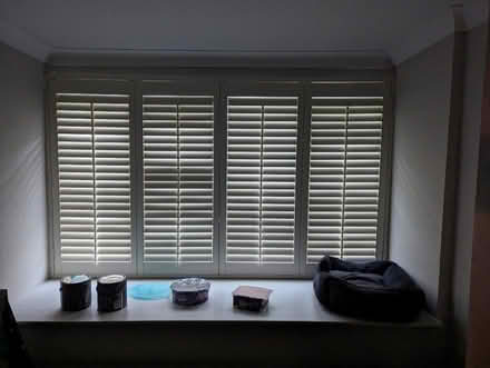 Photo of free Plantation Shutters (High Green S35) #2