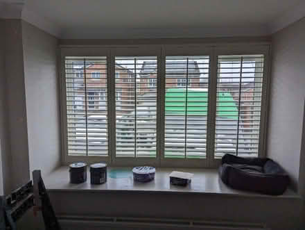 Photo of free Plantation Shutters (High Green S35) #3