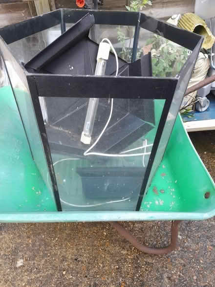 Photo of free Fish tank. (Bevendean BN2) #1