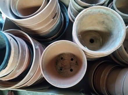 Photo of free Box of plant pots (Ilkley LS29) #1