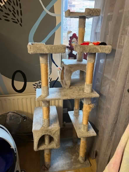 Photo of free Cat tree (Droylsden M43) #1