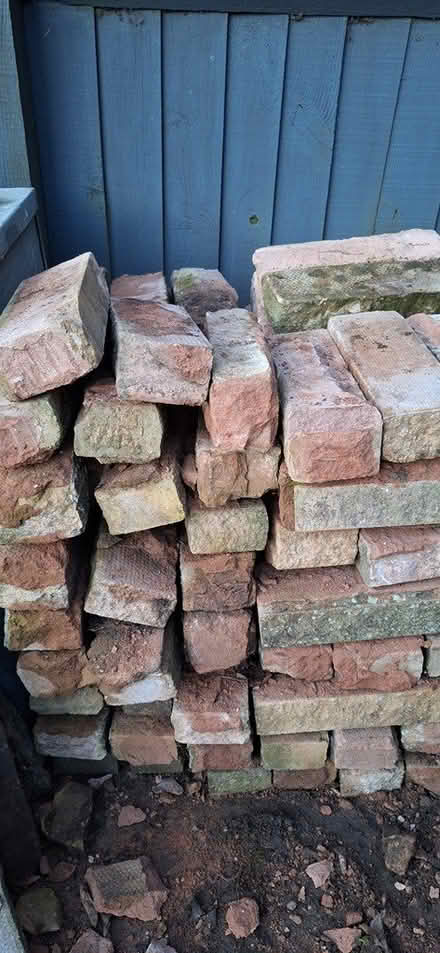 Photo of free Used bricks - with some mortar on (Solihull, West Midlands B92) #3