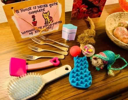 Photo of free Cat Bits n Bobs: Toys/Accessories etc. (Kendal LA9) #3