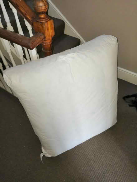 Photo of free Sofa seat cushion (3 (Near Exmouth centre) #1