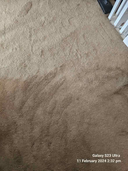 Photo of free Used Carpet (IG1) #1