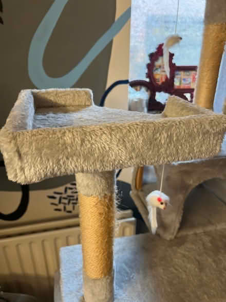 Photo of free Cat tree (Droylsden M43) #2