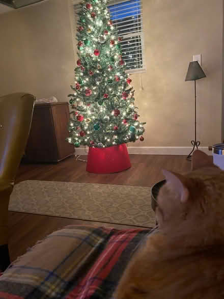 Photo of free 7 Ft Slim Pre-lit Christmas Tree (Smyrna, Vinings, Mableton) #1
