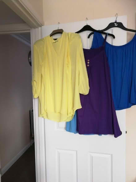 Photo of free Tops/dresses (Oakley RG23) #1