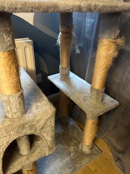 Photo of free Cat tree (Droylsden M43) #3