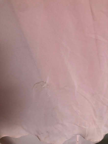Photo of free Size 24 Pink occasion dress (Chessington KT9) #4