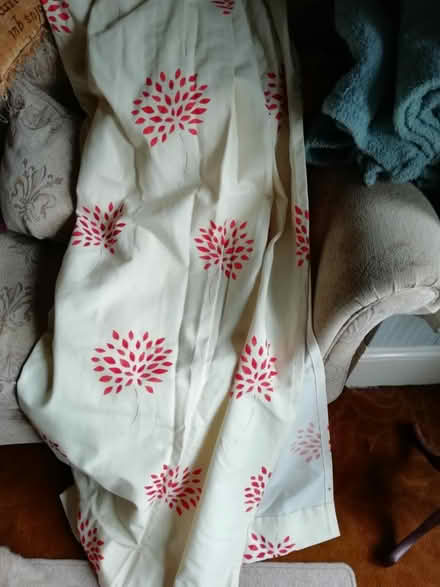 Photo of free Curtains (Emsworth) #1