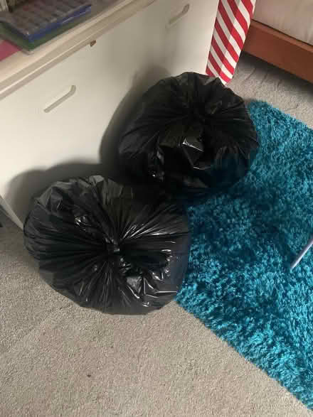 Photo of free 2 full bags ladies clothes 10/12/14 (Carrick Knowe EH12) #1