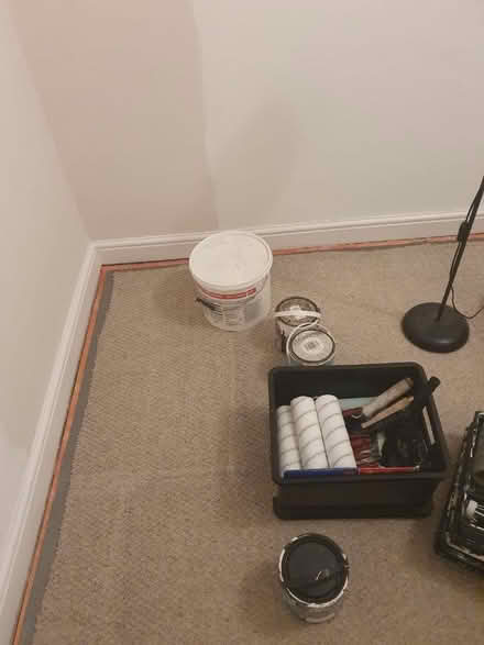 Photo of free Old bedroom carpet (Adlington PR7) #1