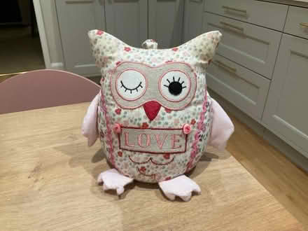 Photo of free Owl doorstop (Wokingham RG40) #1