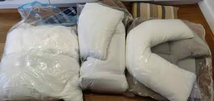 Photo of free Various pillows and cushions (BS4) #1