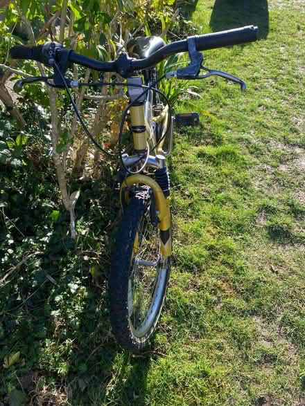 Photo of free Apollo Chaos Bike (BR6) #2