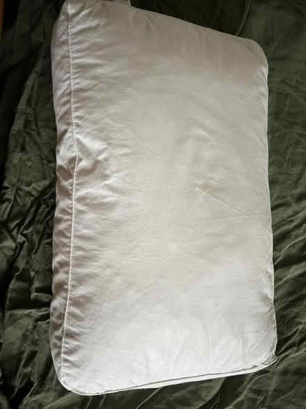 Photo of free Pillows (Newtonhill AB39) #2
