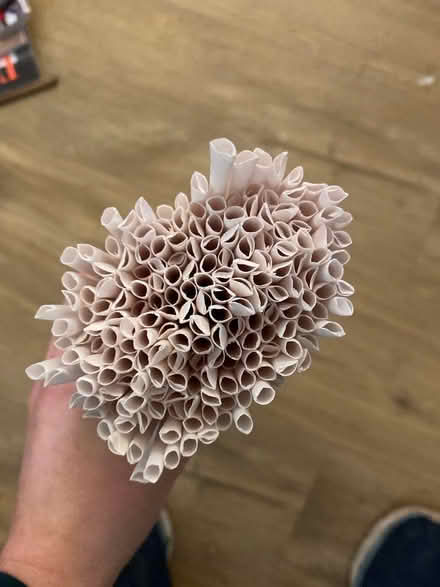 Photo of free Paper straws for crafts (Lower Earley RG6) #1