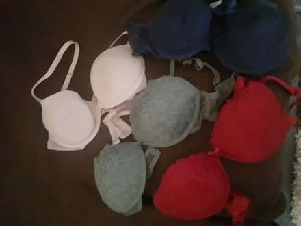 Photo of free Ladies 32c bras (Edgeley) #1