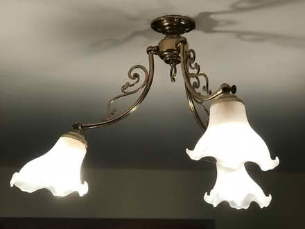 Photo of free pendant light fitting (Crediton) #2