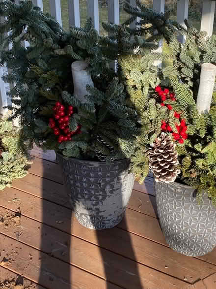 Photo of free Christmas (North Wheaton) #2