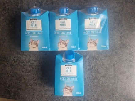 Photo of free Cat Milk (Malvern Link WR14) #1