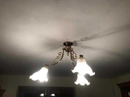 Photo of free pendant light fitting (Crediton) #1