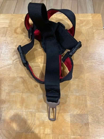 Photo of free Dog Seatbelt (Hamworthy BH15) #2