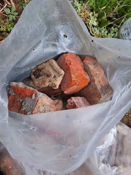 Photo of free Hard-core, see pictures (Seaside BN22) #1