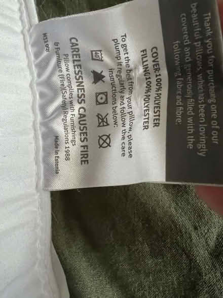 Photo of free Pillows (Newtonhill AB39) #3