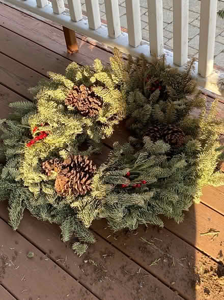 Photo of free Christmas (North Wheaton) #1