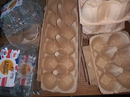 Photo of free Many egg trays (Saint Philip's S1) #1