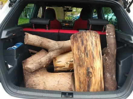 Photo of free Wood logs (Ladywell SE13) #1