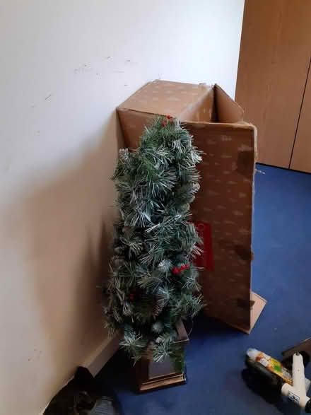 Photo of free Small Christmas tree (Oakgrove MK10) #1