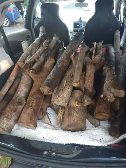 Photo of free Wood logs (Ladywell SE13) #2