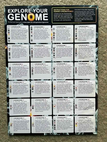 Photo of free Magnetic sheet of chromosomes (Colyford EX24) #1