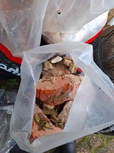 Photo of free Hard-core, see pictures (Seaside BN22) #2