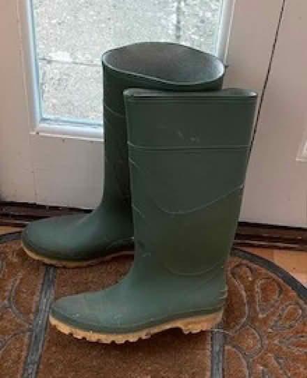 Photo of free Men's size 8 Green Wellington Boots (Ducklington OX29) #1