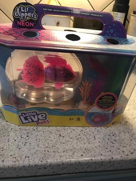 Photo of free Live pets toy (Cleobury Mortimer DY14) #1